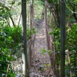 Arts & Vie - Rincon de la Vieja - Costa Rica