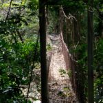 Arts & Vie - Rincon de la Vieja - Costa Rica