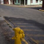 Arts & Vie - Liberia - Costa Rica