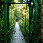 Arts & Vie - Monteverde Santa Elena - Costa Rica
