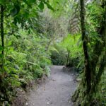Arts & Vie - Monteverde Santa Elena - Costa Rica