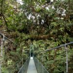 Arts & Vie - Monteverde Santa Elena - Costa Rica