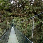 Arts & Vie - Monteverde Santa Elena - Costa Rica