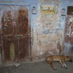 Arts & Vie - Jodhpur - Inde