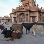 Arts & Vie - Jodhpur - Inde
