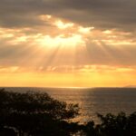 Arts & Vie - Tarcolès - Costa Rica