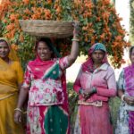 Arts & Vie - Udaipur - Inde