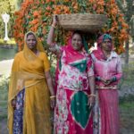 Arts & Vie - Udaipur - Inde