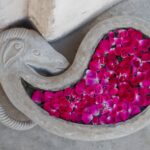 Arts & Vie - Bijaipur - Inde