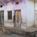 Arts & Vie - Bijaipur - Inde