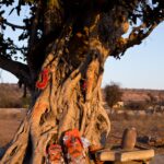 Arts & Vie - Bijaipur - Inde