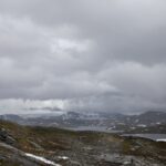 Arts & Vie - Bergen à Trondheim - Norvège