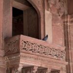 Arts & Vie - Fathepur - Inde
