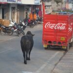 Arts & Vie - Agra - Inde