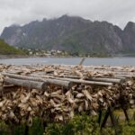 Arts & Vie - Lofoten - Norvège