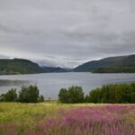 Arts & Vie - Tromso & Laponie - Norvège