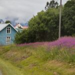 Arts & Vie - Tromso & Laponie - Norvège