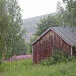 Arts & Vie - Tromso & Laponie - Norvège