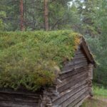Arts & Vie - Finlande