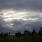 Arts & Vie - Finlande