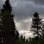 Arts & Vie - Finlande