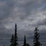 Arts & Vie - Finlande