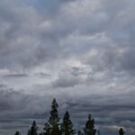 Arts & Vie - Finlande