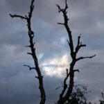 Arts & Vie - Finlande