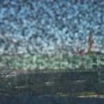 Arts & Vie - Helsinki & Porvoo - Finlande