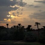 Arts & Vie - Le Nil - Egypte