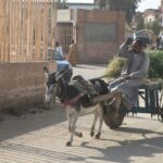 Arts & Vie - Temple d'Edfou - Egypte
