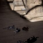 Arts & Vie - Philae - Egypte