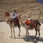 Arts & Vie - Guizeh - Egypte