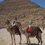Arts & Vie - Guizeh - Egypte