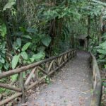 Arts & Vie - Irazu & Cartago - Costa Rica