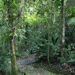 Arts & Vie - Irazu & Cartago - Costa Rica