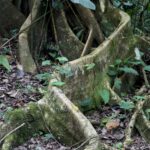 Arts & Vie - Irazu & Cartago - Costa Rica