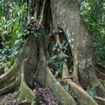 Arts & Vie - Irazu & Cartago - Costa Rica