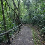 Arts & Vie - Irazu & Cartago - Costa Rica