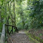 Arts & Vie - Irazu & Cartago - Costa Rica