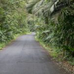 Arts & Vie - Tortuguero - Costa Rica