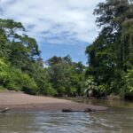 Arts & Vie - Tortuguero - Costa Rica