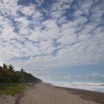 Arts & Vie - Tortuguero - Costa Rica