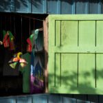 Arts & Vie - Tortuguero - Costa Rica