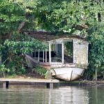 Arts & Vie - Tortuguero - Costa Rica