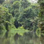 Arts & Vie - Tortuguero - Costa Rica