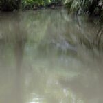 Arts & Vie - Tortuguero - Costa Rica