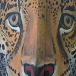 Arts & Vie - Tortuguero - Costa Rica