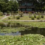 Corée du Sud - Séoul - Palais de Gyeongbokgung