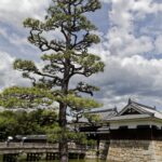 Japon - Château d'Hiroshima